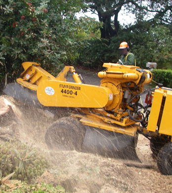 M&M Tree Cutting Company Image